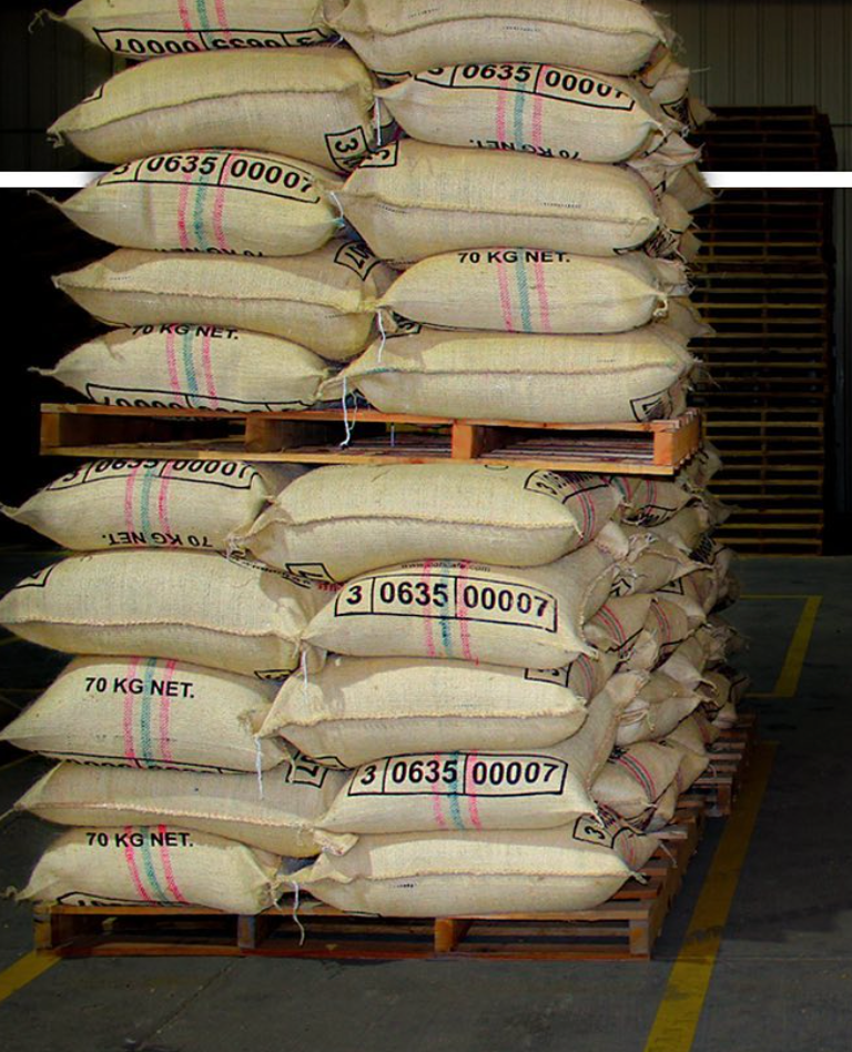 Pallets of Colombian green coffee.